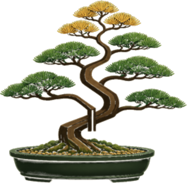 Ilustracao bonsai KASH